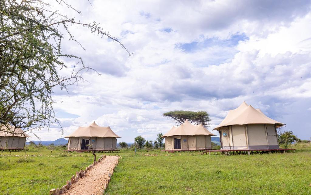 Serengeti Wildebeest Camp Tanzania