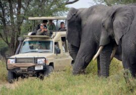TARANGIRE NATIONAL PARK