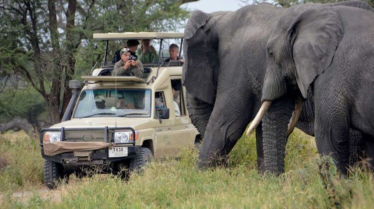 TARANGIRE NATIONAL PARK