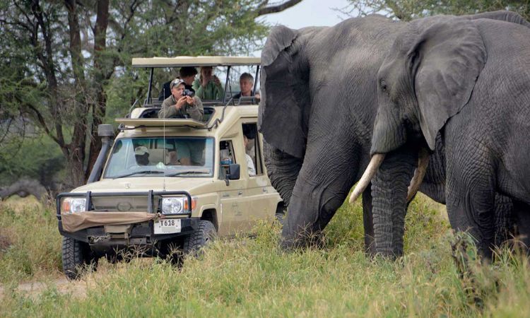 TARANGIRE NATIONAL PARK