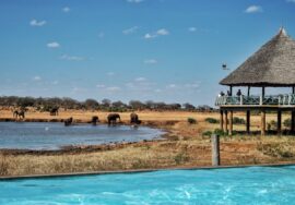 TSAVO EAST NATIONAL PARK LODGES & CAMPS