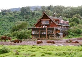The Ark Lodge