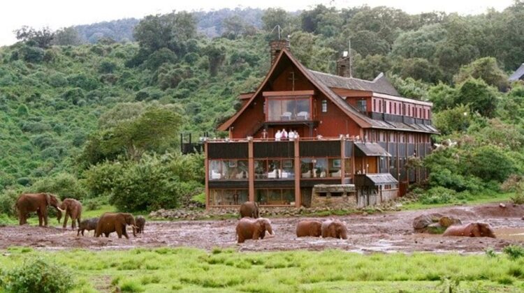 The Ark Lodge