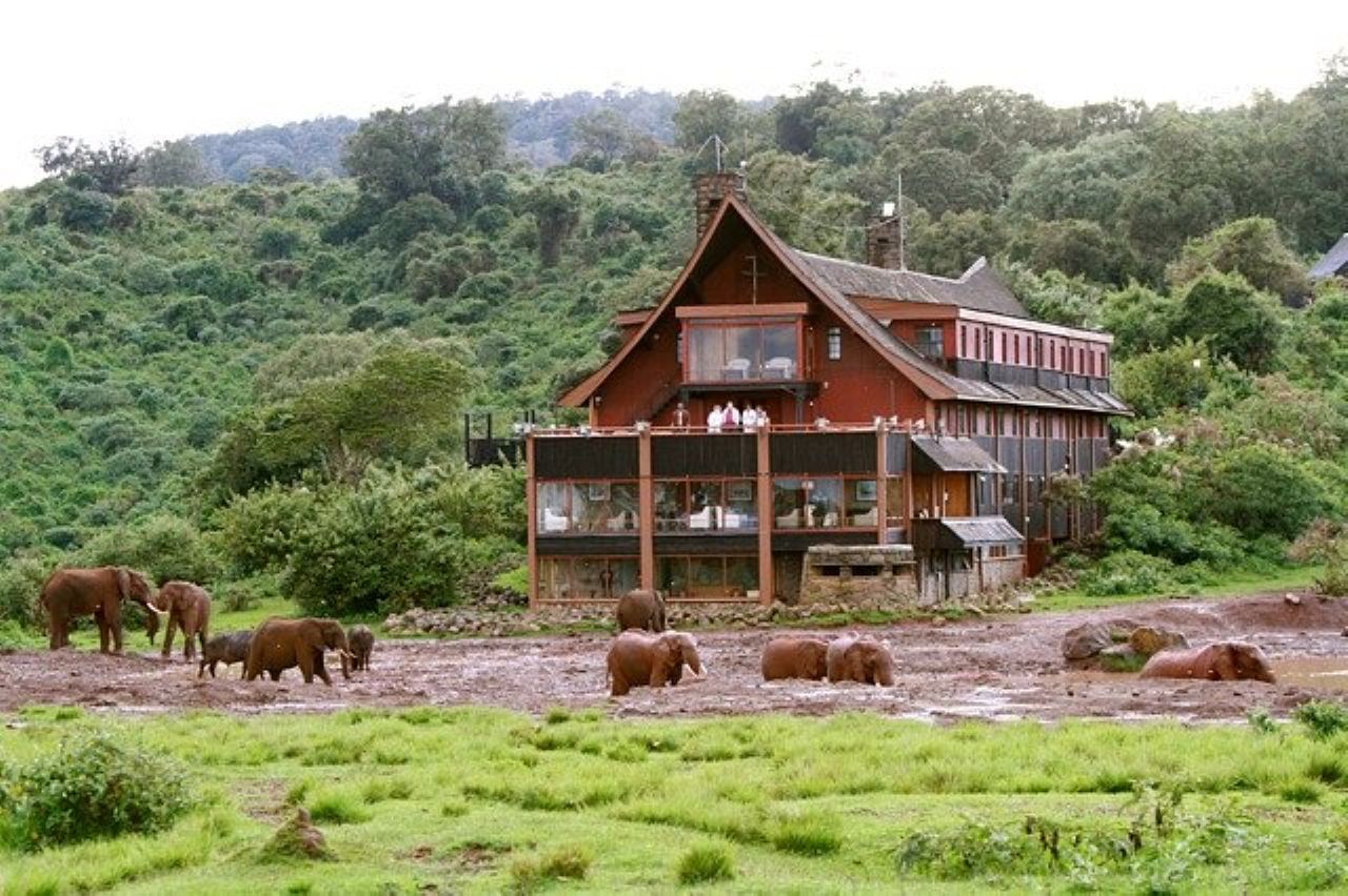 The Ark Lodge