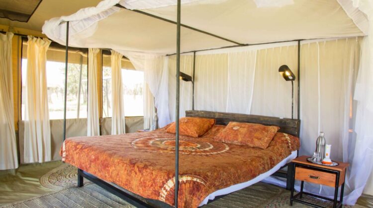 ThornTree Camp
