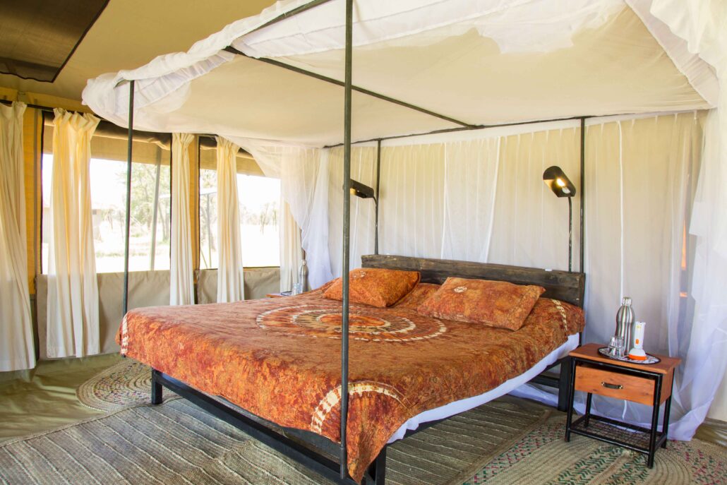 ThornTree Camp