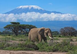 Tsavo East National Park