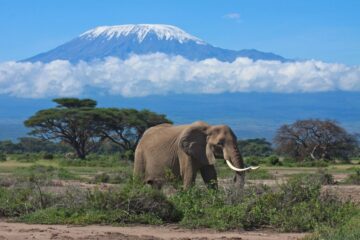 Tsavo East National Park
