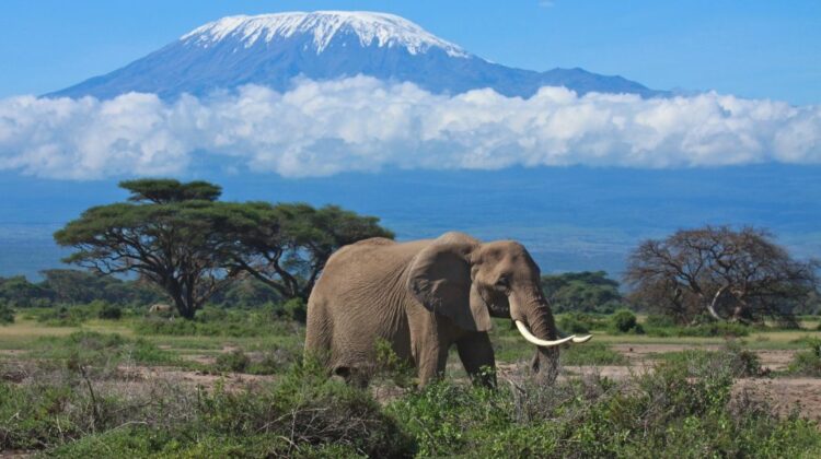 Tsavo East National Park