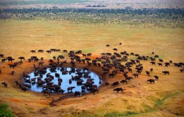 Tsavo West National Park