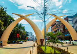 Venture on a Magical Mombasa beach Safari
