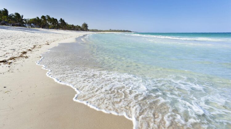 Vibrant Vacations to the Kenyan Coast