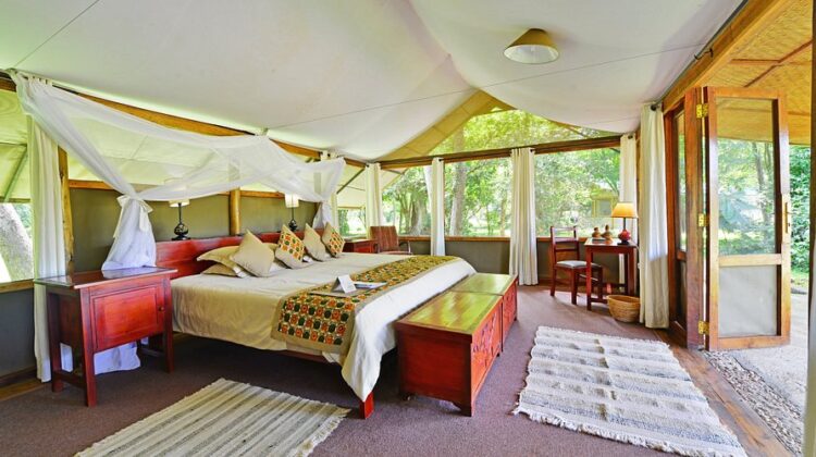 Wilderness camp