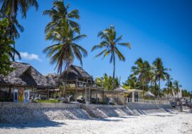 Zanzibar To Tanzania 6-Day Flight Safari