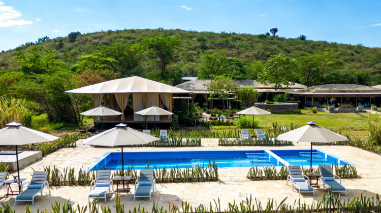 Zebra Plains Mara Camp