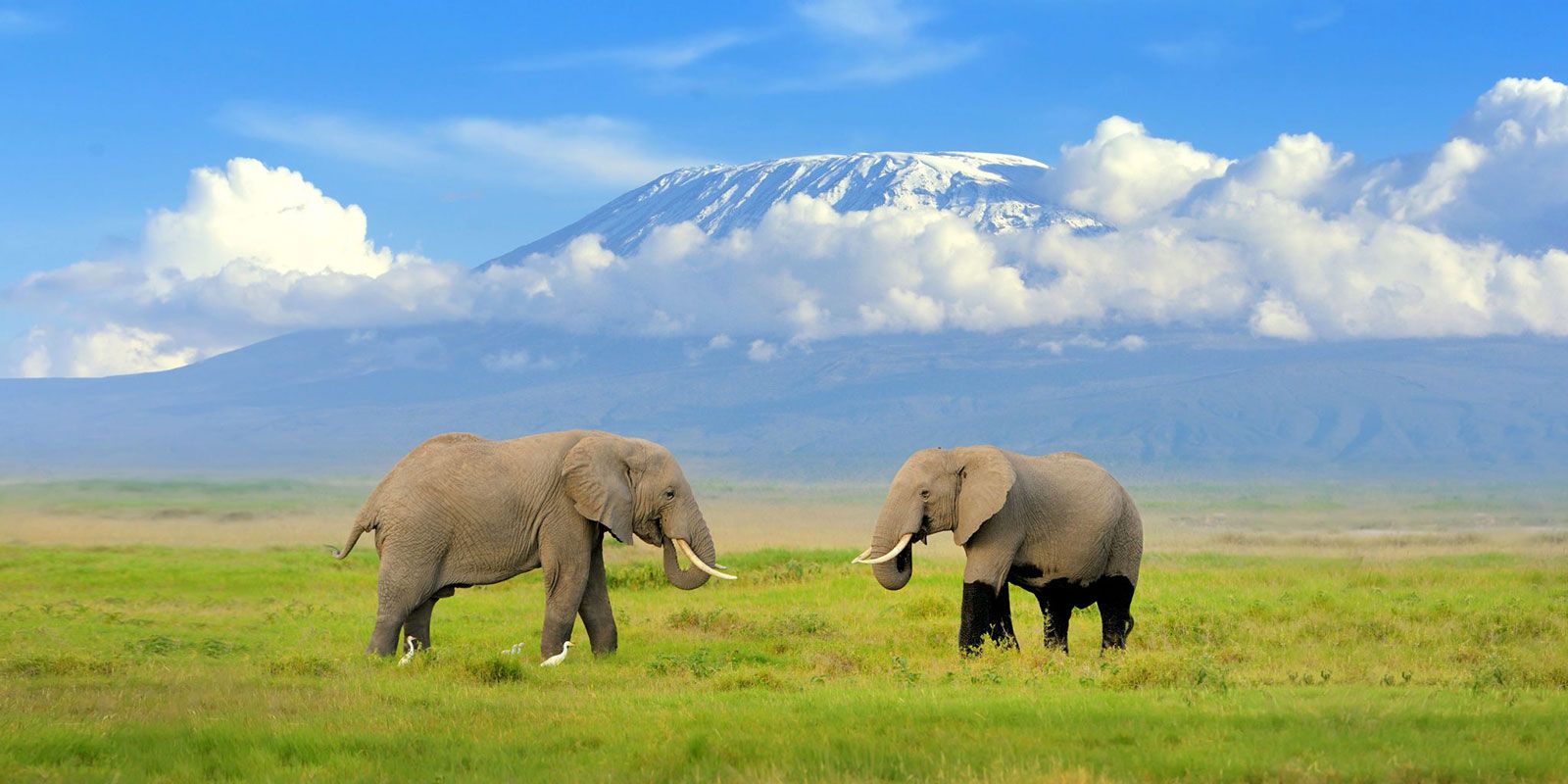 4 DAYS, 3 EXCITING PARKS – TSAVO WEST, AMBOSELI, TSAVO EAST