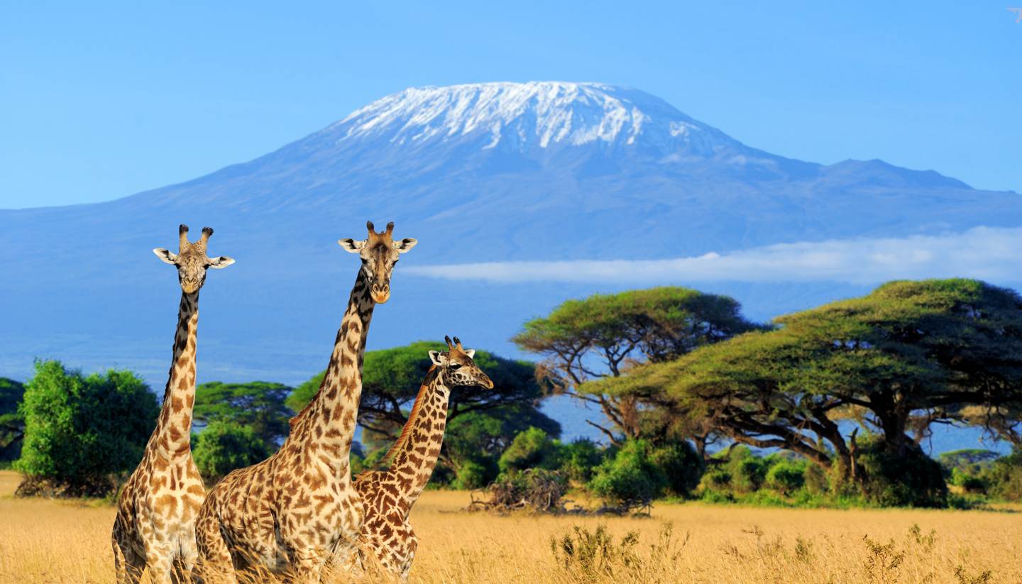 5 DAYS – 3 LEGENDARY PARKS – TSAVO EAST/WEST & AMBOSELI