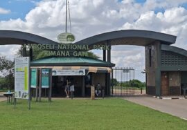 Amboseli National Park – Kenya