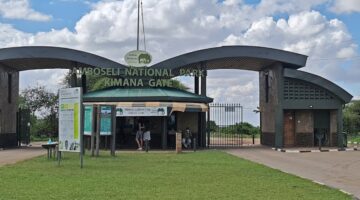 Amboseli National Park – Kenya