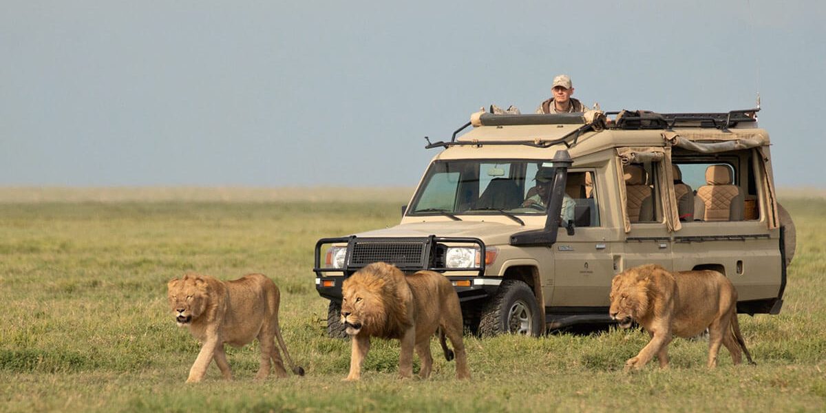 An Incredible 4-day Safari: Visit the Masai Mara and the Lake Nakuru National Park