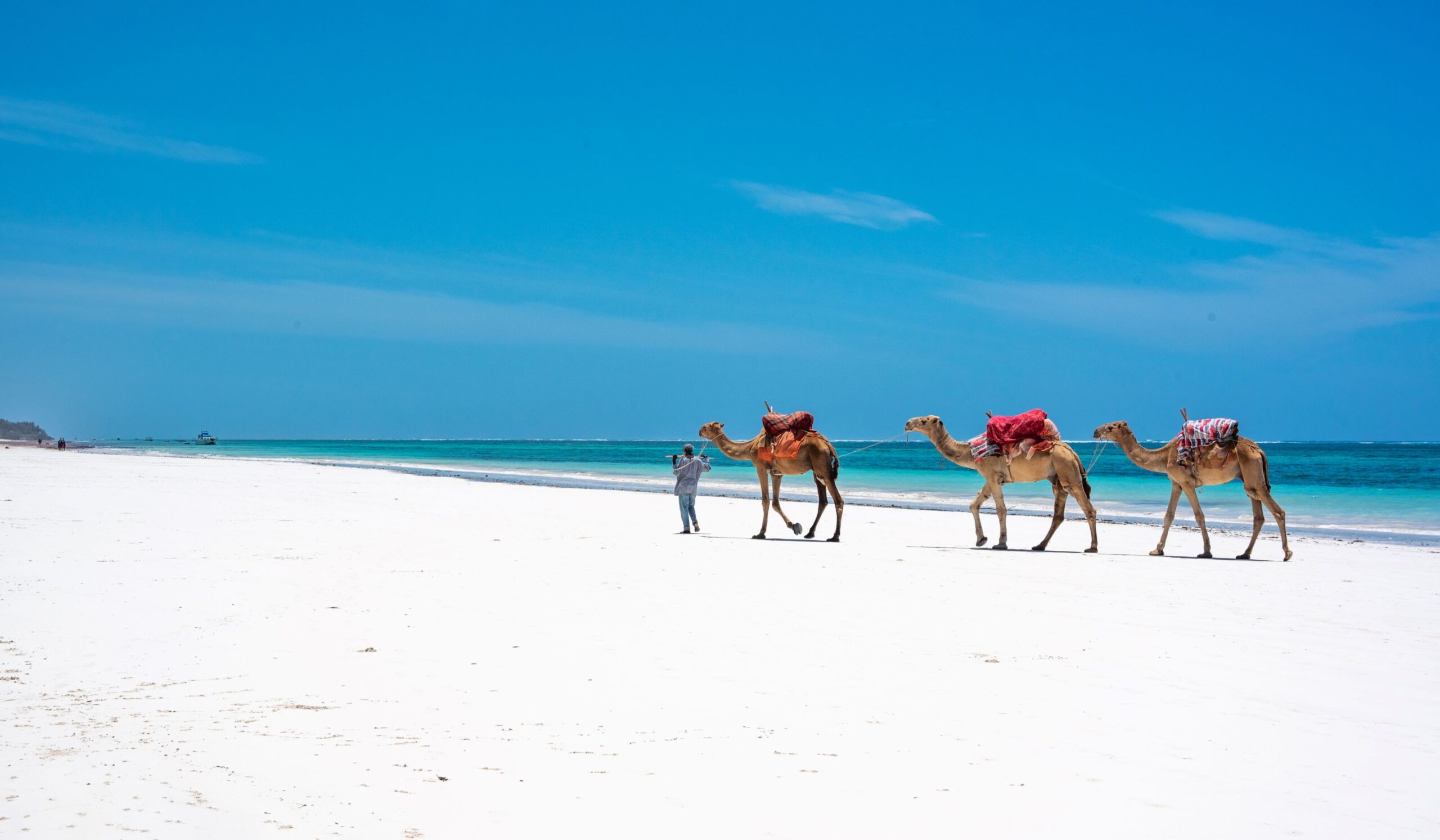 DIANI BEACH TO TSAVO EAST – 2-DAY SAFARI