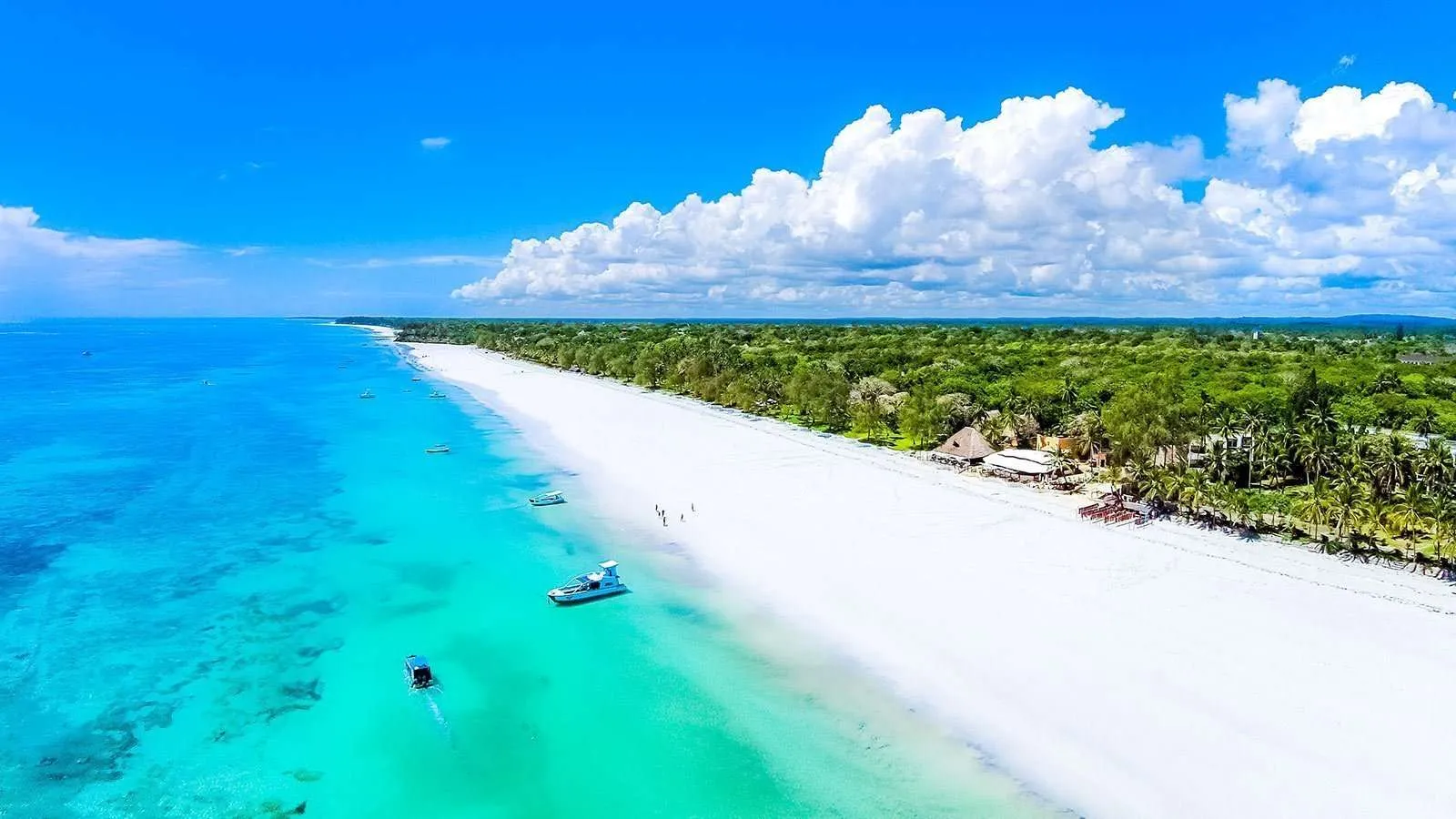 Diani Beach & Safari Tours | Book Kenya Safaris From Diani