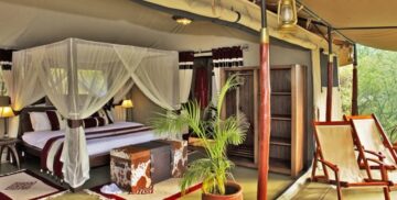 Mara Bush Camp