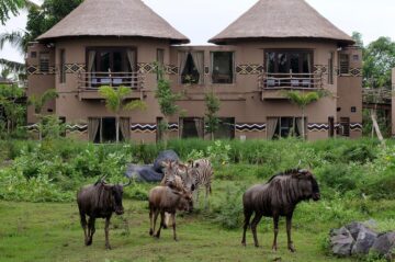 Mara River Lodge