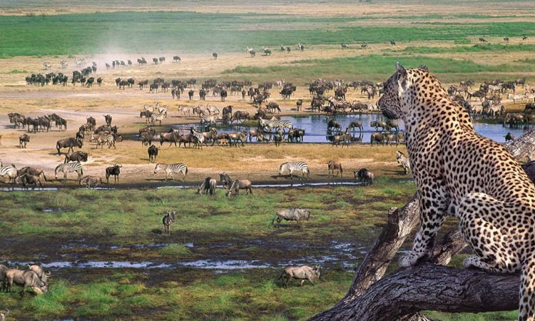 Ngorongoro CONSERVATION AREA