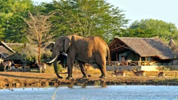 SATAO CAMP