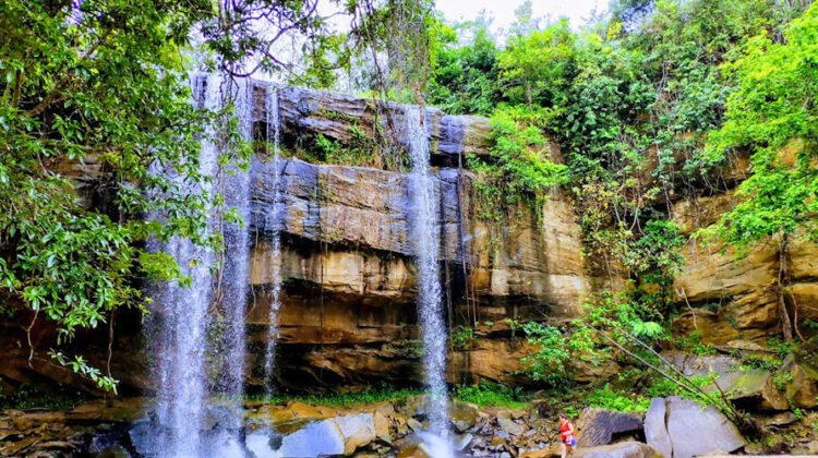 Shimba Hills National Park Day Trip