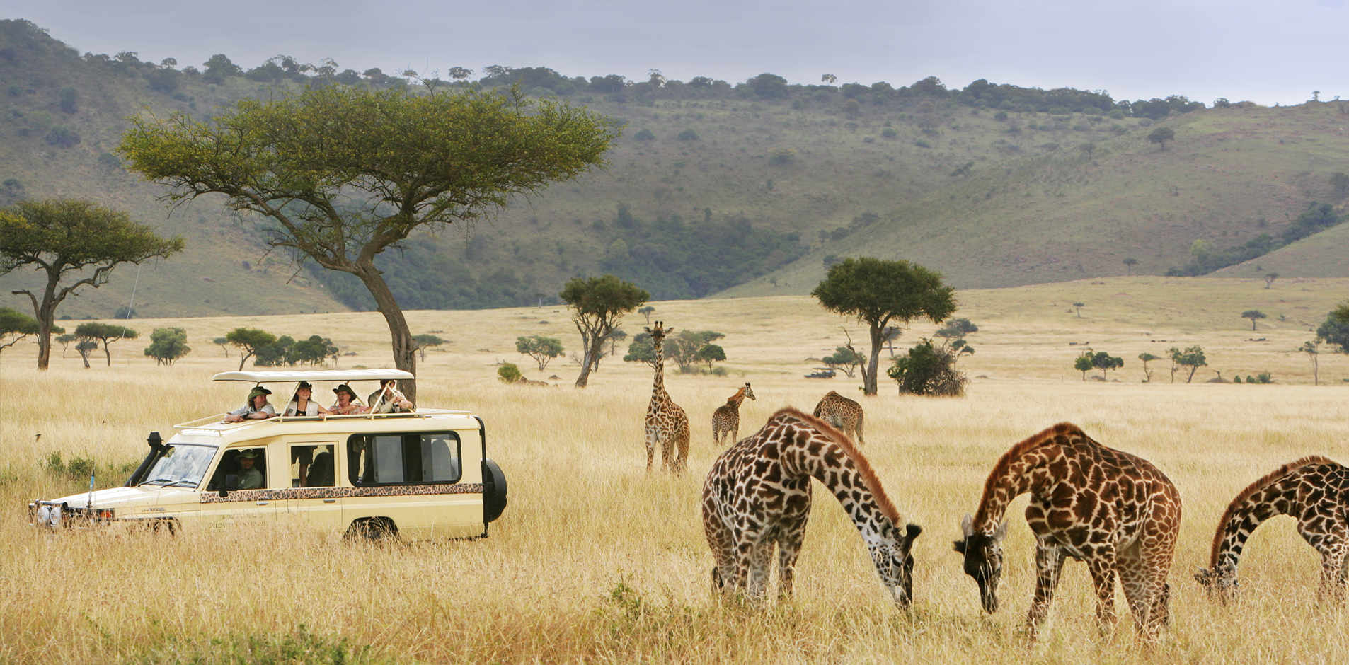 The Best Local Culture and Wildlife: 10-Day Tanzania Safari