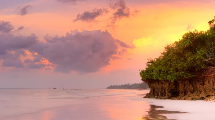 3-DAY BEACH TO BEACH SAFARI – 2 NATIONAL PARKS