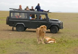 3 DAY MASAI MARA PRIVATE JEEP SAFARI