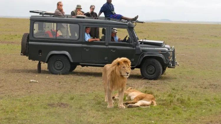 3 DAY MASAI MARA PRIVATE JEEP SAFARI