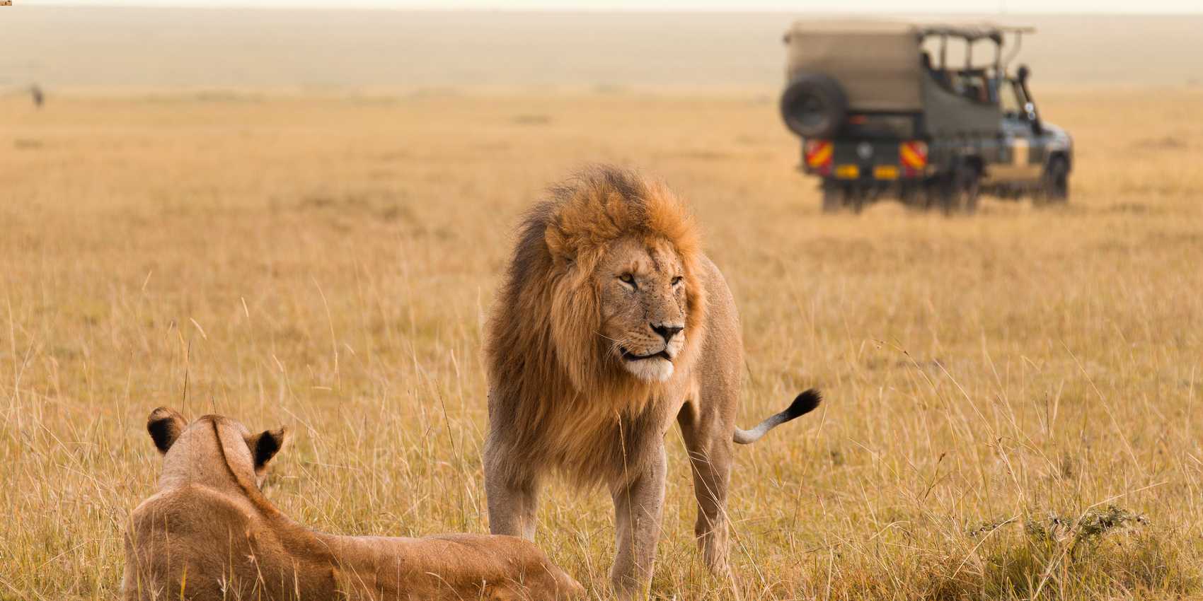 3 DAY MASAI MARA SHARED GROUP SAFARI