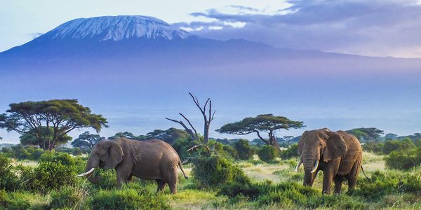 3 DAYS, 2 NATIONAL PARKS – KENYA BEACH TO NAIROBI