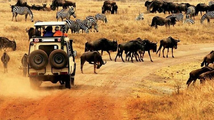 3 DAYS / 2 NIGHTS AMBOSELI TO KENYA BEACH SAFARI FROM NAIROBI
