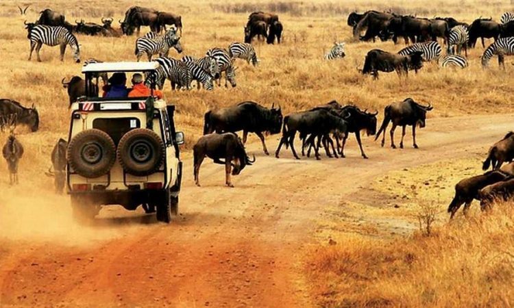 3 DAYS / 2 NIGHTS AMBOSELI TO KENYA BEACH SAFARI FROM NAIROBI