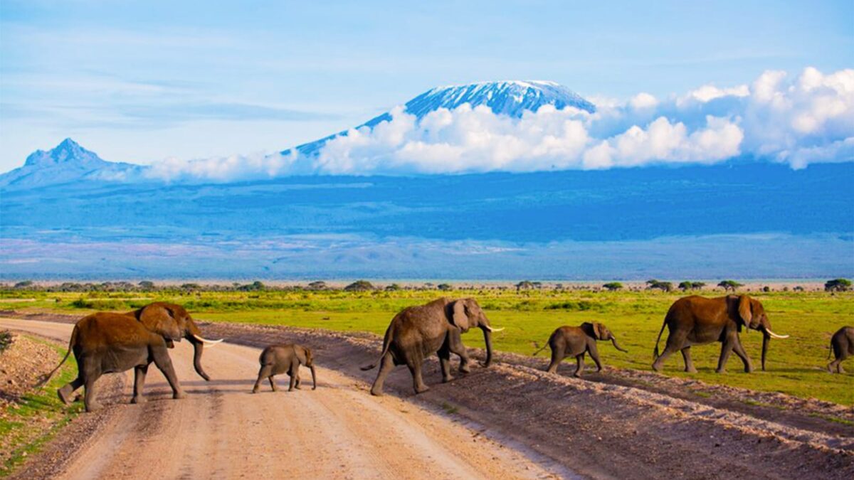 3 DAYS TSAVO EAST & AMBOSELI PARK WILDLIFE SAFARI