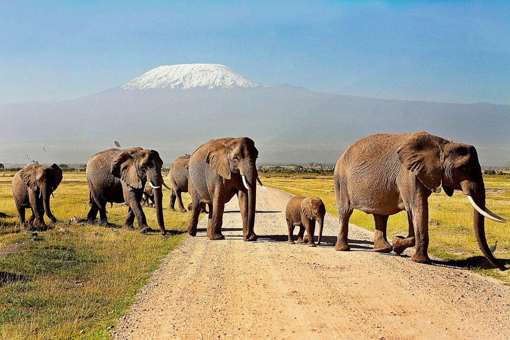 3-day, Samburu Game Reserve Safari in 4×4 Jeep