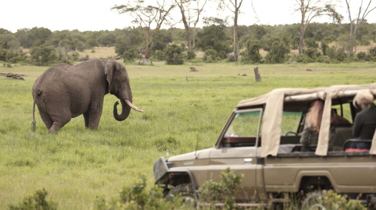 4 DAY SAFARI – OL PEJETA WILDLIFE SANCTUARY & SAMBURU GAME RESERVE