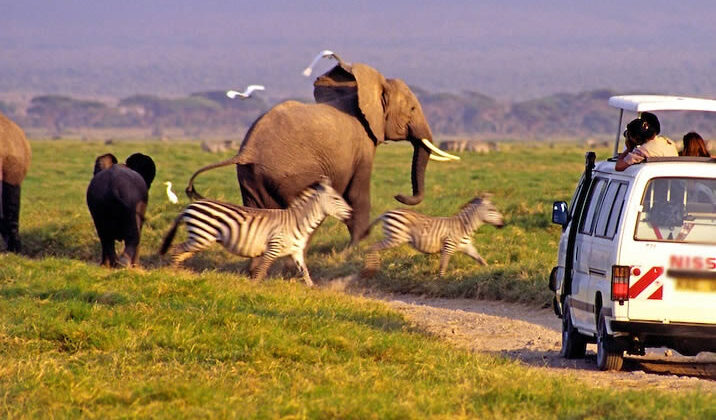 4 DAYS, 3 LEGENDARY PARKS – BEACH TO BEACH SAFARI