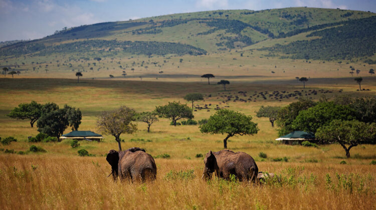 5 DAY UNIQUE SAFARI – ABERDARE, LAKE NAKURU NATIONAL PARKS & MASAI MARA GAME RESERVE