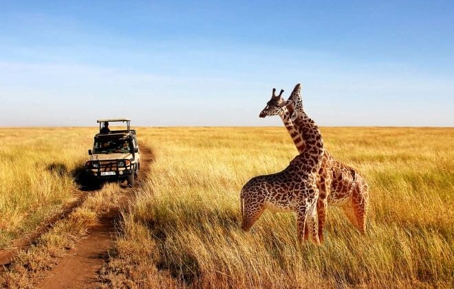 5 Days, 4 National Parks, Nairobi – Kenya Beach Safari