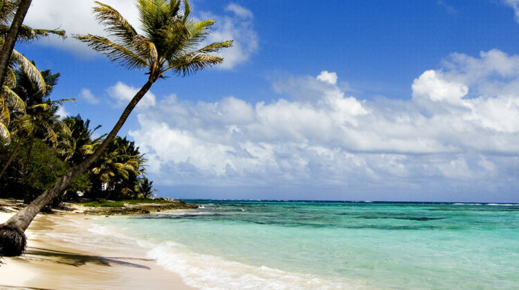 5 Days, 4 Nights: Nairobi – Kenya Coast Beach