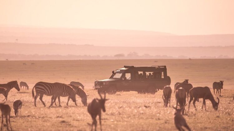 6 DAYS, 4 NATIONAL PARKS, KENYA BEACH TO NAIROBI SAFARI