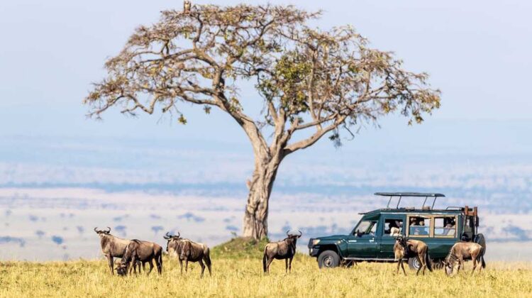 6 Days, 4 National Parks, Nairobi to Kenya Beach Safari