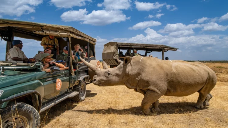 6 Days, 4 National Parks, Nairobi to Kenya Beach Tour by 4×4 Land Cruiser jeep
