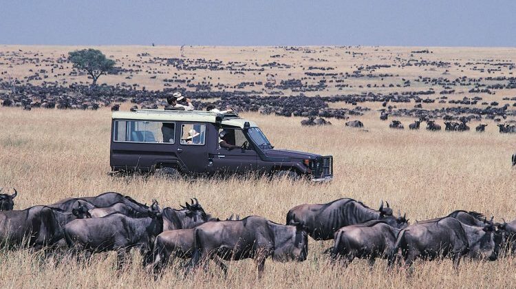 6 Days Nairobi to Diani flight safari – Amboseli & Masai mara